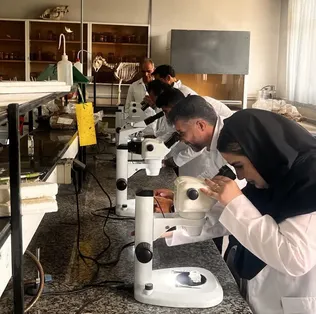 تأکید بر حفظ کیفیت آموزش در دروس عملی؛ لزوم ایجاد تعادل میان آموزش مجازی و حضوری