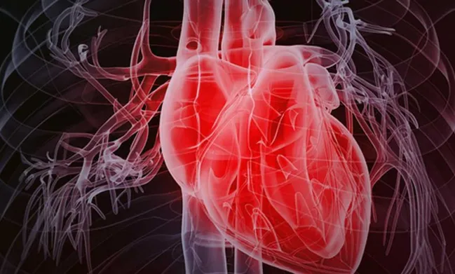 طهرانچی، شهید علمی که قلب را از سکته خاموش نجات داد