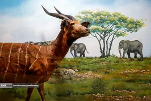 متحف برديسان للتنوع البيولوجي ، طهران