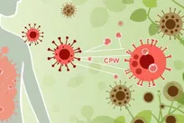 لوبیا به داد انسان می‌رسد