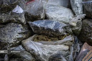 امحای ۲۰ تن مواد مخدر در تهران