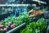 فناوری‌های هوشمند دانشگاه تهران مصرف آب کشاورزی را ۳۰ درصد کاهش می‌دهد