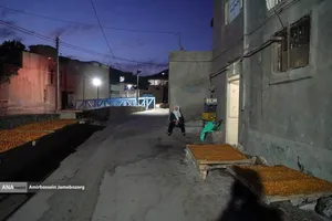 خُرو؛ پایتخت آلوی ایران