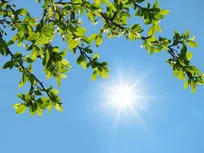 هشدار وزش باد شدید و گردوخاک در شرق کشور / تهران امروز دمای ۴۱ درجه را تجربه می‌کند
