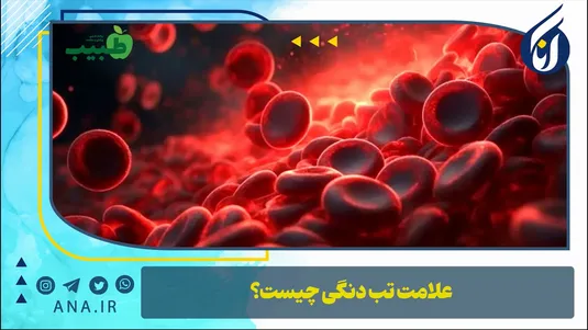 علامت تب دنگی چیست؟
