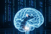 پیشرفتی بی‌سابقه در علوم اعصاب؛ ساخت مغزِ موشِ دیجیتال با ده‌ها میلیارد اتصال عصبی