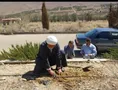 روز شهید