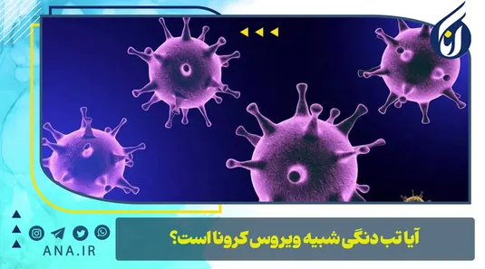 آیا تب دنگی شبیه ویروس کرونا است؟