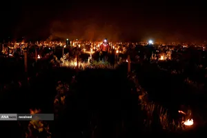 روشن کردن شمع های ضد یخ زدگی در یک تاکستان برای حفاظت درختان انگور، فرانسه