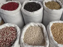 ثبت سفارش حبوبات برای پاییز، ۲۹ شهریور آغاز می‌شود