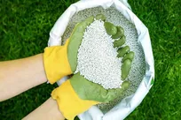 توزیع ۱۶ هزار تن انواع کود‌های کشاورزی در استان تهران