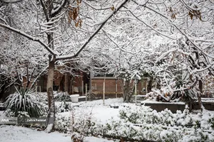 بارش برف زمستانی در تهران 