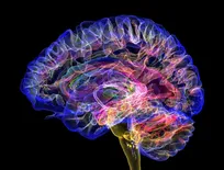 آیا مغز ما خودش را می‌خورد؟