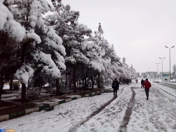 دانشگاه آزاد اسلامی واحد قم در یک روز برفی