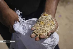 مردم گرسنه غزه برای رسیدن به کمک&zwnj;های غذایی، کیلومترها پیاده&zwnj;روی می&zwnj;کنند