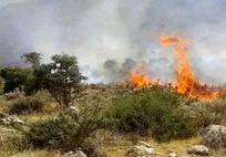 تیم‌های عملیاتی برای مهار آتش هیرکانی پا پس نکشیدند/ چرا آتش دوباره سر برآورد؟