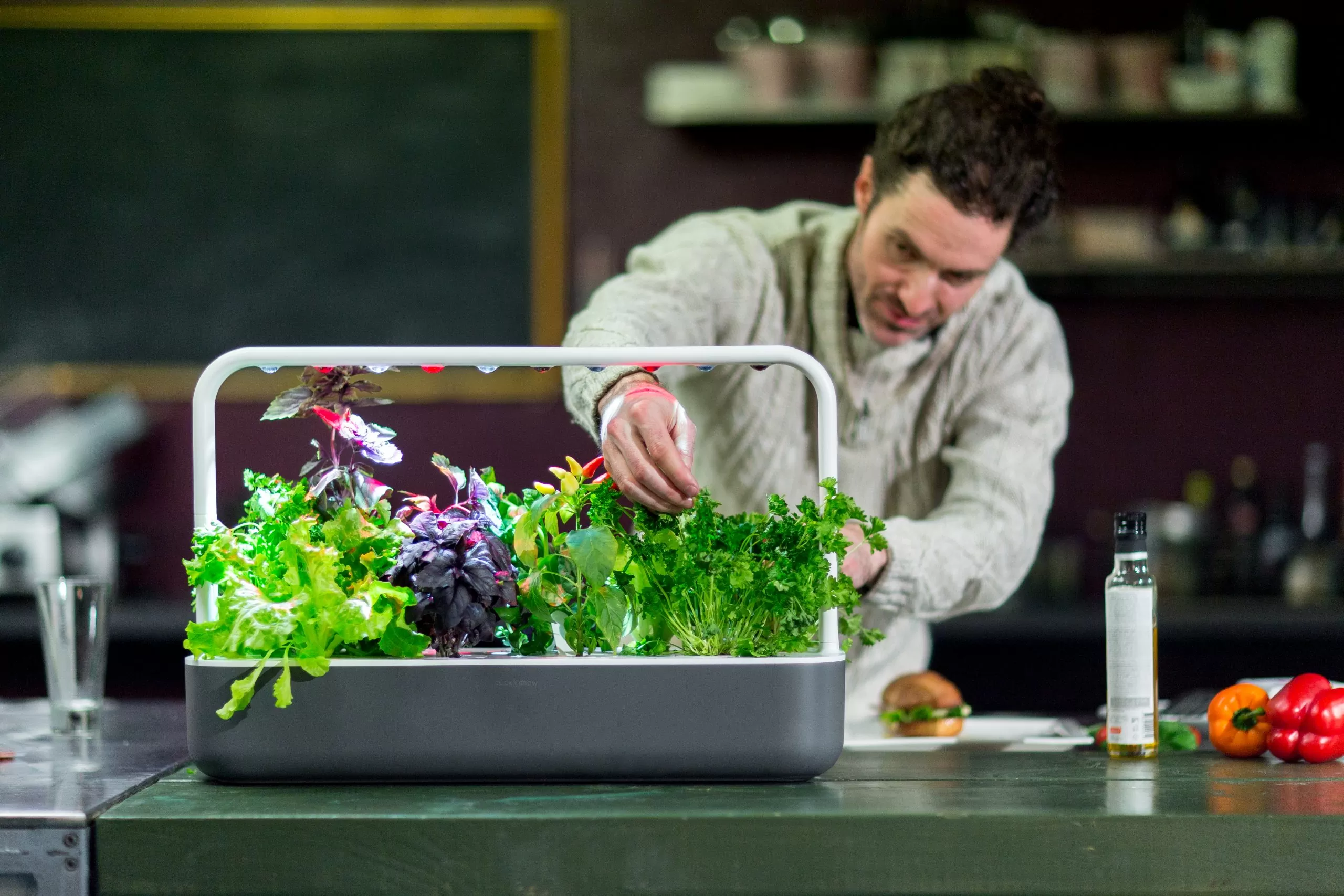 چهار گجت برای مراقبت آسان‌تر از گیاهان در آپارتمان
