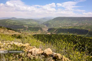 منطقه سرسبز و توریستی هزارجریب مازندران