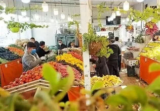 67 درصد میوه نوروزی در فارس توزیع شد