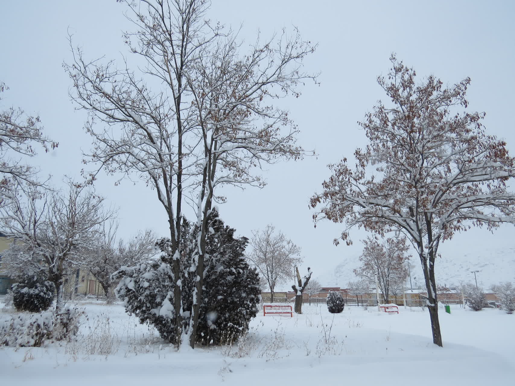 بارش برف زمستانی در واحد بین الملل ماکو؛ کوه آرارات در پوشش سپید