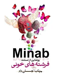«فرشته‌های خونی» تلاشی برای رساندن صدای کودکان میناب به جهان / فریاد مظلومیت بچه‌های میناب از مقابل ساختمان سازمان ملل