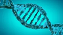 اپی‌ژنتیک (Epigenetics) چیست؟