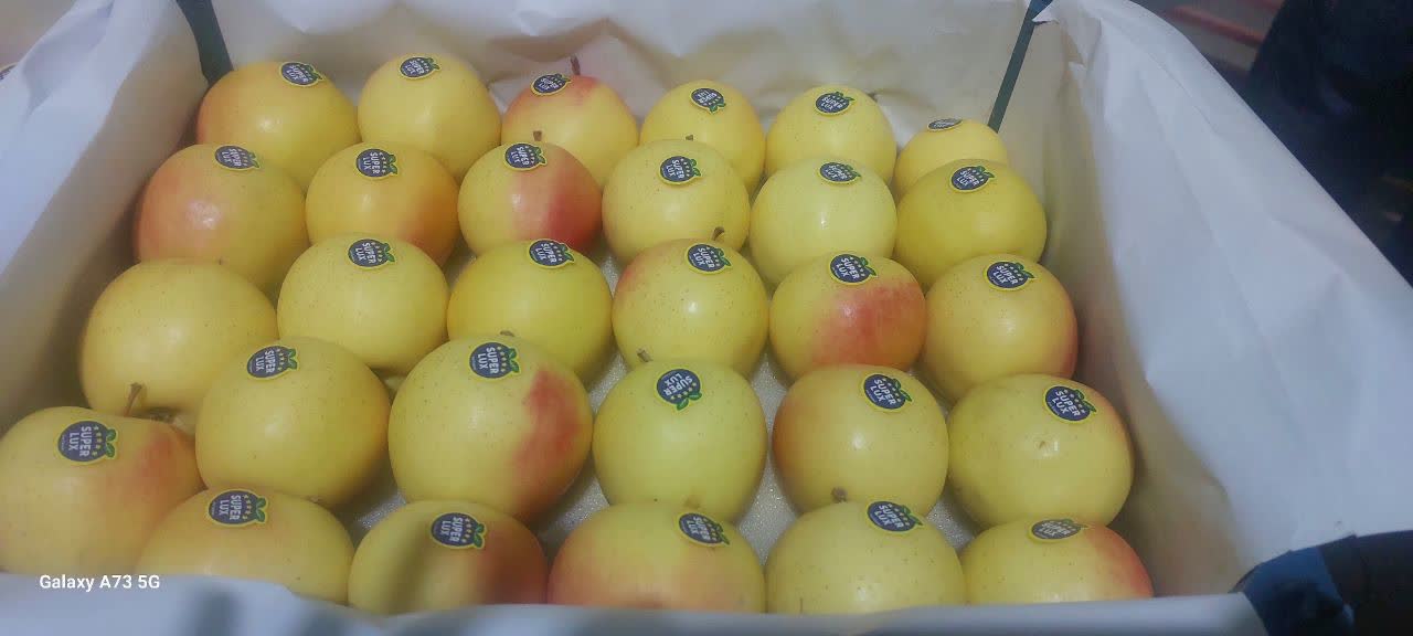 درخشش دانشگاه آزاد اسلامی بجنورد در مرزهای اقتدار زیستی/ بازوی علمی دانشگاه در خدمت امنیت غذایی و صادرات فرامرزی