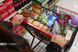 جنگ آمریکا و اسراییل علیه ایران باعث بحران غذایی و انرژی در جهان