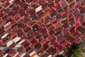 نمایی هوایی از فرش های دستبافت زیر نور خورشید برای تکمیل فرآیند رنگ آمیزی در آنتالیا، ترکیه