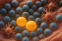 میلیون‌ها سلول از بدن مادر، هنوز درون شما باقی مانده‌اند