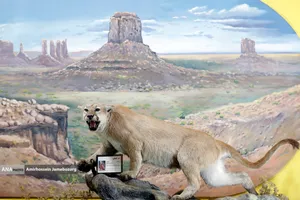 متحف برديسان للتنوع البيولوجي ، طهران