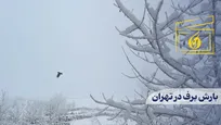 بارش برف در تهران
