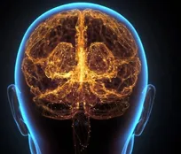 دانشمندان دروازه‌بان پنهان مغز را کشف کردند