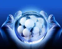 دو استانی که پیشتاز صادرات نانومحصولات ایران در ۱۴۰۳ بودند