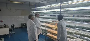 ایستادگی دانشگاه آزاد اسلامی ورامین در سنگر تولید و اقتصاد دانش‌بنیان 