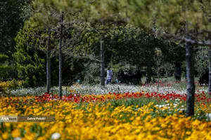 باغ گیاهشناسی ایران
