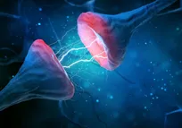 سیناپس (Synapse) چیست؟