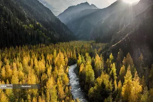 نمایی هوایی از دره&zwnj;ای در جنوب قزاقستان