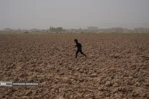 هم قدم تا وداع