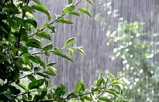 ادامه بارندگی‌ها در شمال کشور / دما در سواحل خزر کاهش می‌یابد
