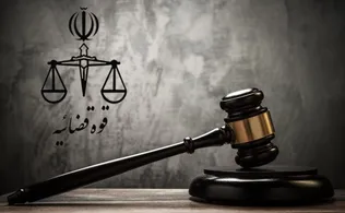 اموال و حساب‌های بانکی مهناز افشار، مزدک میرزایی، نیکی کریمی، سینا سرلک، مسعود شجاعی و مسترتیستر توقیف شد