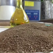 زنگ خطر برای آینده کشاورزی و محیط‌زیست به صدا درآمد؛ کاهش دانشجو در رشته خاک‌شناسی