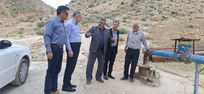 نوسازی باغ دانشگاه آزاد جهرم؛ کاشت درخت برای تضمین سوددهی پایدار
