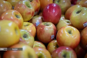 قیمت مواد غذایی در ایالات متحده در حال افزایش است، اما افزایش قیمت بنزین تنها دلیل آن نیست - بحران اقتصادی آمریکا و اروپا در باتلاق تنگه هرمز