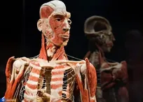 تکنیکی سودآور برای جلوگیری از خروج ارز و خرید «مولاژهای» خارجی