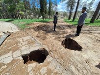 هشدار جدی درباره پردیس تخت&zwnj;جمشید؛ فرونشست و خطر سقوط درختان/ آمادگی پذیرش گردشگران در روز طبیعت را نداریم