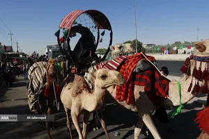 پیاده روی زائرین اربعین حسینی در مسیر نجف به کربلا