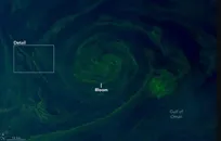 نور سبز خلیج عمان و پشت پرده تهدیدات اکولوژیکی