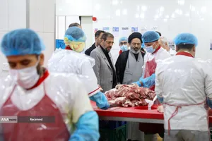 بازدید حجت الاسلام سید عبدالفتاح نواب سرپرست حجاج ایرانی از روند خدمت رسانی به زائران حج