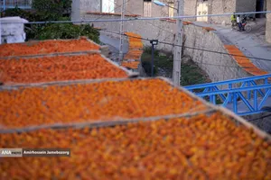 خُرو؛ پایتخت آلوی ایران